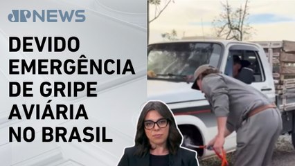 Mariana Grilli: Auditores fiscais do setor agropecuário pedem reforço