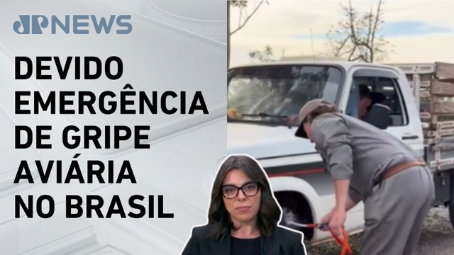 Mariana Grilli: Auditores fiscais do setor agropecuário pedem reforço