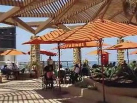 NETANYA PAR FREDDY GALULA