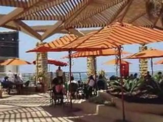 NETANYA PAR FREDDY GALULA