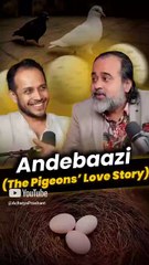 Andebaazi (The Pigeons' Love Story) || Acharya Prashant