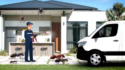 Safe Clean Pest Control