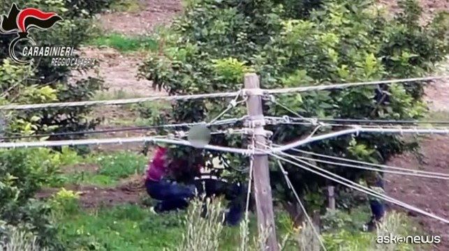 Maxi operazione 'Ndrangheta da Reggio Calabria a Milano: 97 arresti