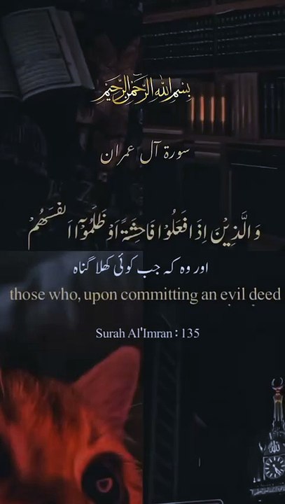Surat Aal-e-Imran ( Verse_ 135)  #allah   #muhammadﷺ   #quran   #islam   #quranverses (1)