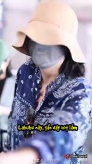 Triệu Vy gây sốt tại sân bay tháng 5/2025 cùng fan tặng labubu 🧸