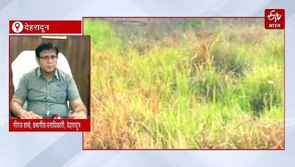 मार्च से लेकर मई तक क्यों दिखते हैं सांप? आंकड़ों के साथ जानिये रोचक वजह