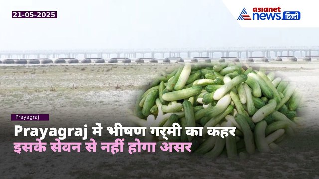 Prayagraj में चढ़ा गर्मी का पारा | बढ़ी खीरे-खरबूजे की डिमांड, जानिए फायदे