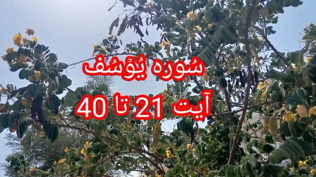 Surah Yusuf ki tilawat | Recitation of Surah Yusuf | quran tilawat | Tajweed | bubak learn quran |