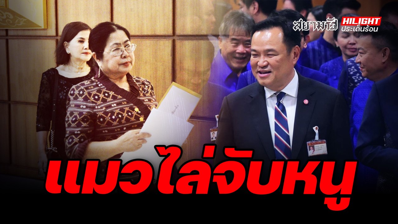 แมวไล่จับหมู - ไฮไลท์ประเด็นร้อน