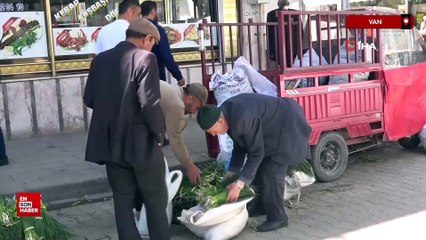 Van'da dağlardan toplanan otlar hem şifa hem kazanç sağlıyor
