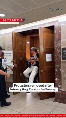 Protesters disrupt Rubio's Senate testimony over U.S. support for Israel. #PnDmart #japdmedia #news #protest