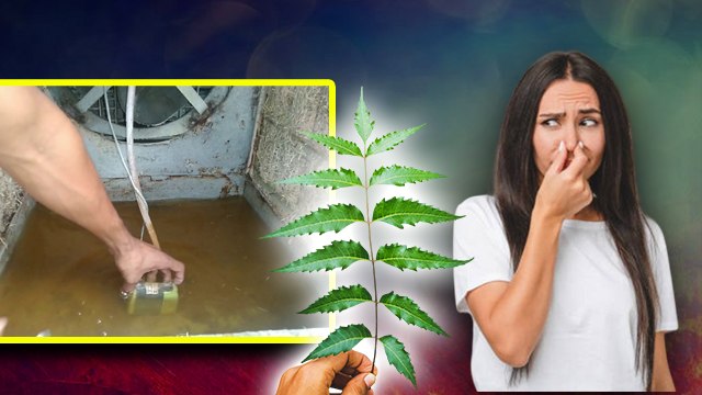 Cooler Bad Smell Remover: कूलर की बदबू कैसे दूर करें | Boldsky