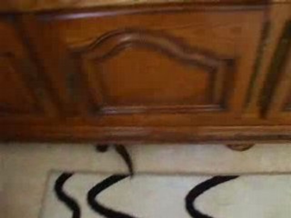 furet qui samuse
