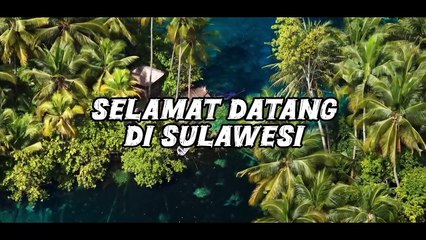 Pulau Sulawesi Surganya Spesies Endemik