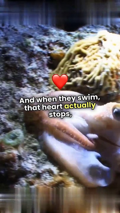 50 Mind-Blowing Animal Facts That Will Change How You See Nature!