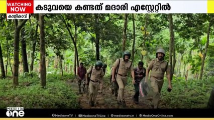 കാളികാവിൽ യുവാവിനെ കൊലപ്പെടുത്തിയ കടുവയെ കണ്ടെത്തി;മയക്കുവെടി വയ്ക്കാനായി ദൗത്യസംഘം പുറപ്പെട്ടു