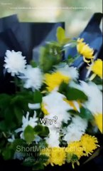 99 Ways To Break My Heart Full Chinese Drama