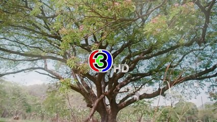 My Marvellous Dream Is To You (2024) Episode 8 Eng Sub