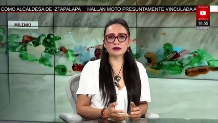 Capacitan a brigadistas para restaurar arrecifes de coral en Quintana Roo | Milenio Hábitat