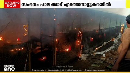 എടത്തനാട്ടുകരയിൽ കോഴി ഫാം കത്തി മൂവായിരത്തോളം കോഴിക്കുഞ്ഞുങ്ങൾ ചത്തു