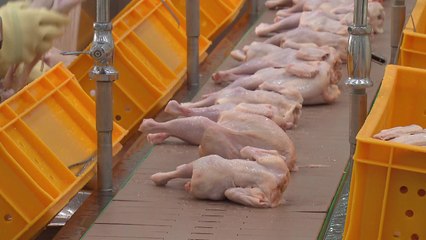 육계협회, 하림·마니커 등에 닭고기 공급량 확대 요청 / YTN