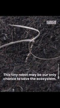 Inspirado en una flor salvaje, este robot planta semillas para salvar el mundo