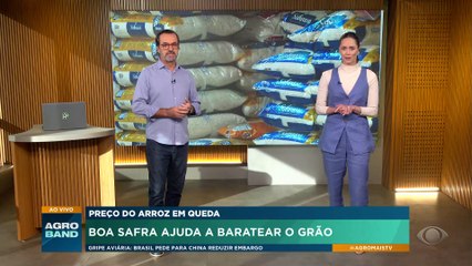 Preço do arroz em queda: boa safra ajuda a baratear o grão