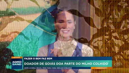 Produtor de Goiás doa parte do milho colhido