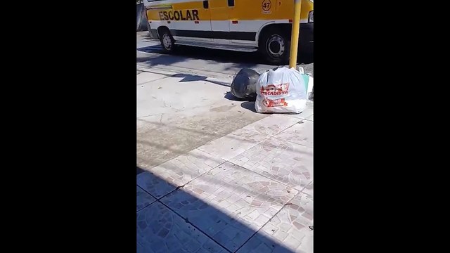 Agente de trânsito é afastado após disparar arma em frente a escola