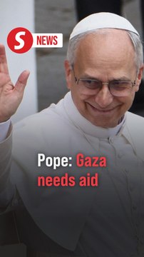 Pope Leo calls for 'sufficient humanitarian aid' into Gaza