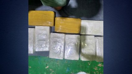 '122만 명 투약 가능 코카인 밀수' 징역 25년...검찰, 항소 / YTN