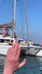 Conheça os Jogadores do Sporting: Elenco Atual e Destaques ⚽