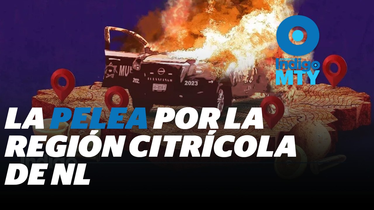 Bandas delictivas migran de Zacatecas a la zona citrícola de Nuevo León | Reporte Indigo