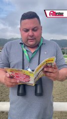 HIPISMO: David Palencia - Entrenador