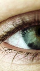Amazing Human Body Facts