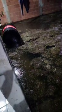 Água e lama invadem casas de moradores em Nova Iguaçu