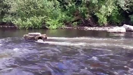 Is this waste being discharged into the River Usk raw sewage?