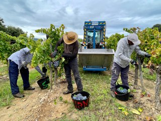 La Ventana de los números | El Banco de España alerta sobre el aumento de las bajas laborales