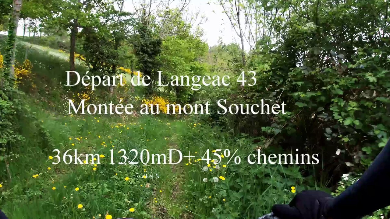 Mont Mouchet en VTT, descente FFC