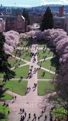 Wait  It Was Always Me