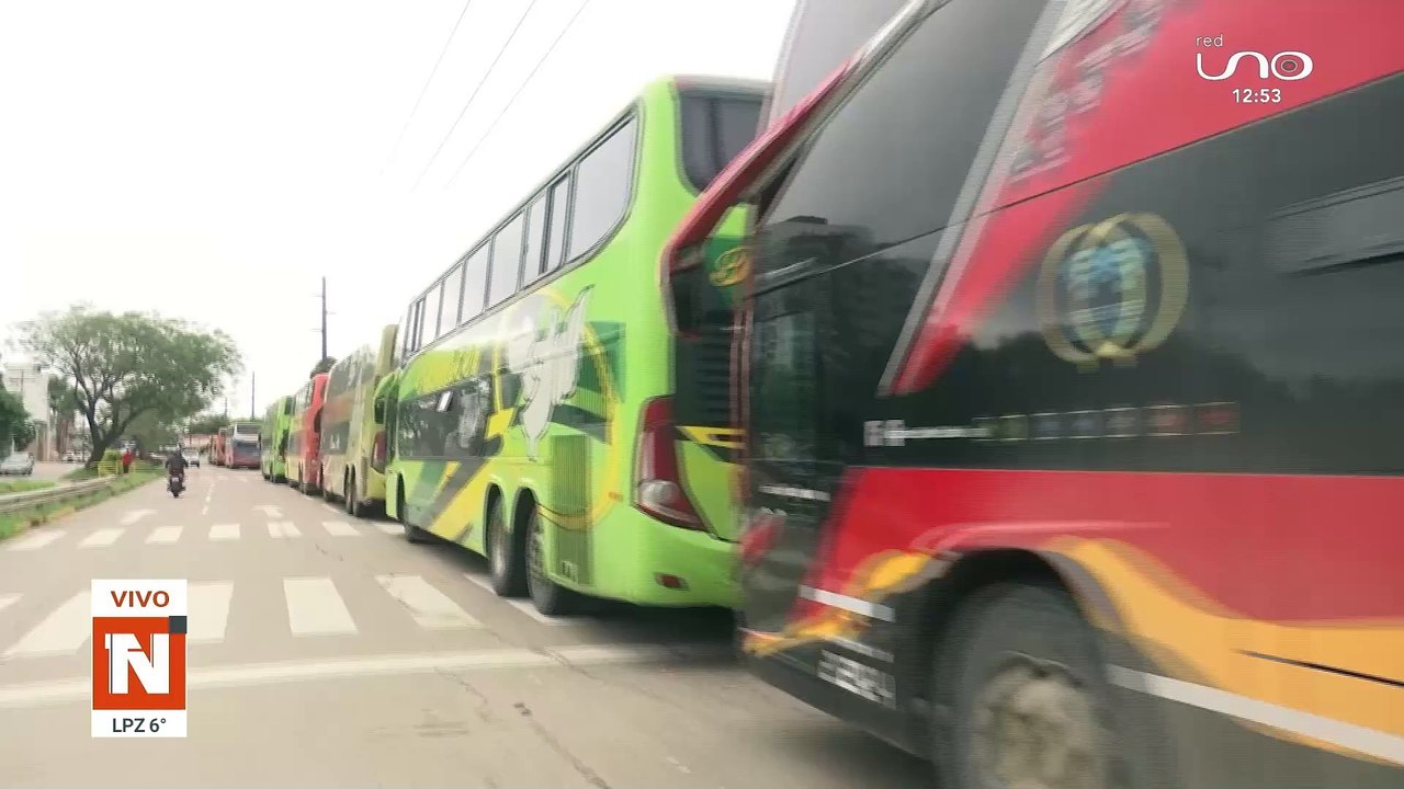 Buses pardos por combustible
