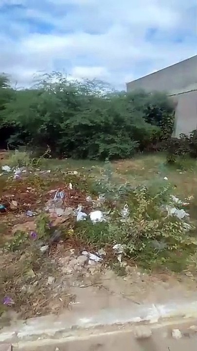 Internautas denunciam e cobram providências para retirada de mato e entulhos das ruas de Patos