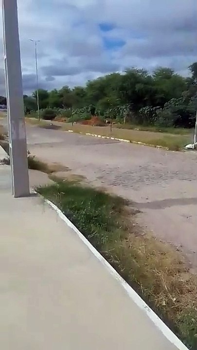 Internautas denunciam e cobram providências para retirada de mato e entulhos das ruas de Patos