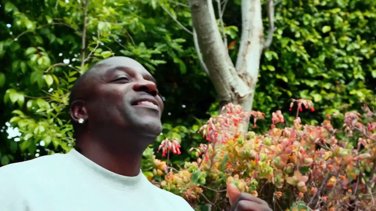 Akon, Nektunez - Akon's Beautiful Day (Nektunez Remix)
