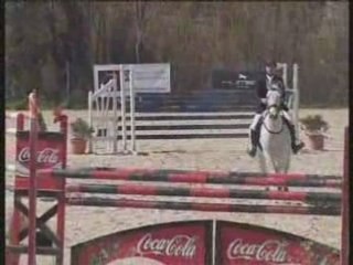 Yegua de 11 años - para amateur