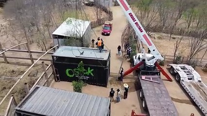 Violência armada em estado mexicano força transferência de centenas de animais selvagens