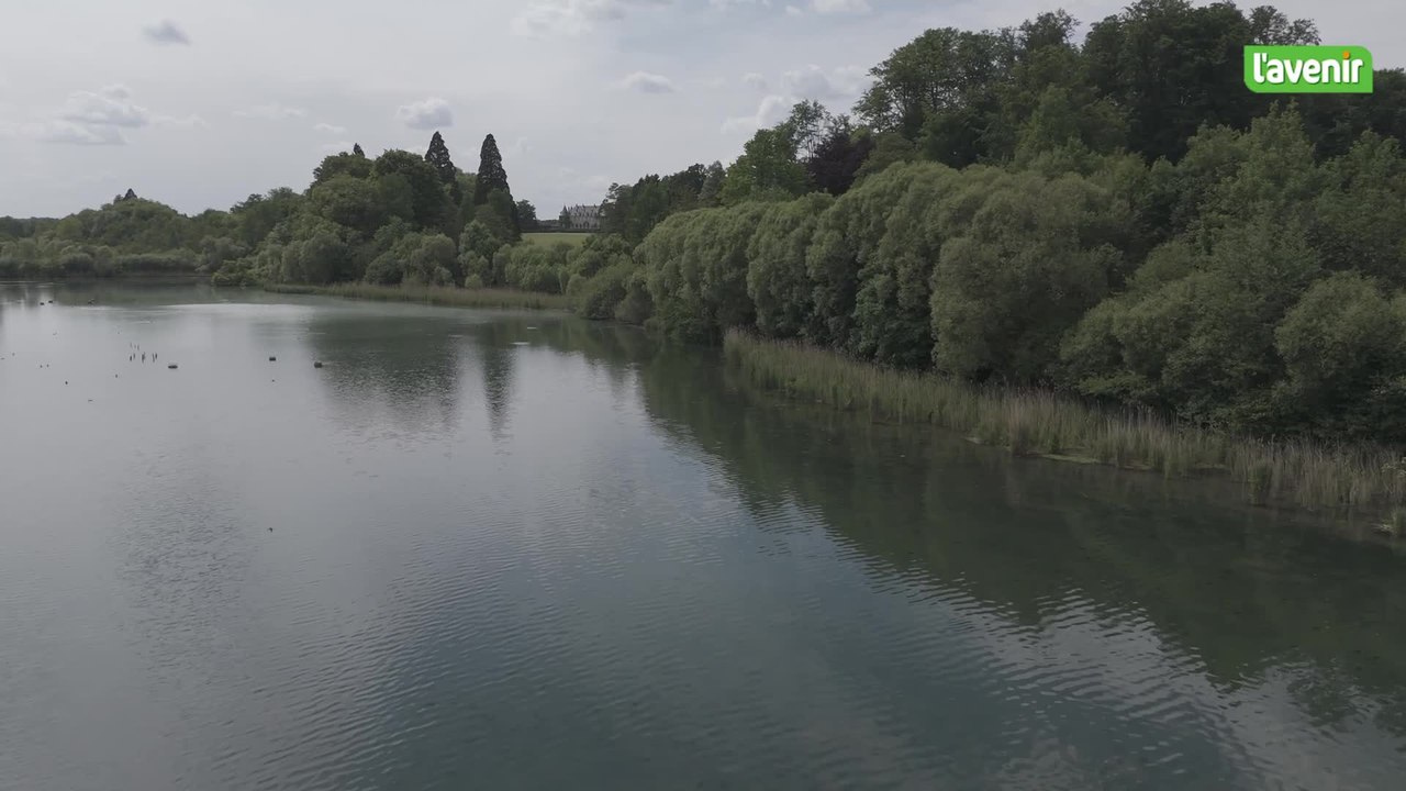 Le Brabant wallon vu du ciel : la réserve naturelle de Nysdam à La Hulpe