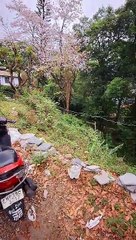 Exploring Dharamshala 🏔️ | Morning Visit to Brahma Kumaris for Free Blessings