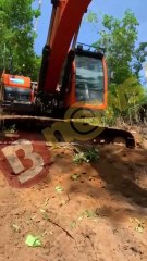 Morador denuncia desmatamento irregular em área verde de Salvador; saiba mais