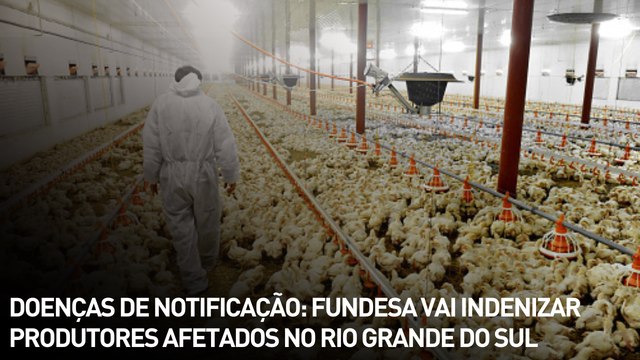 Doenças de notificação: Fundesa vai indenizar produtores afetados no RS